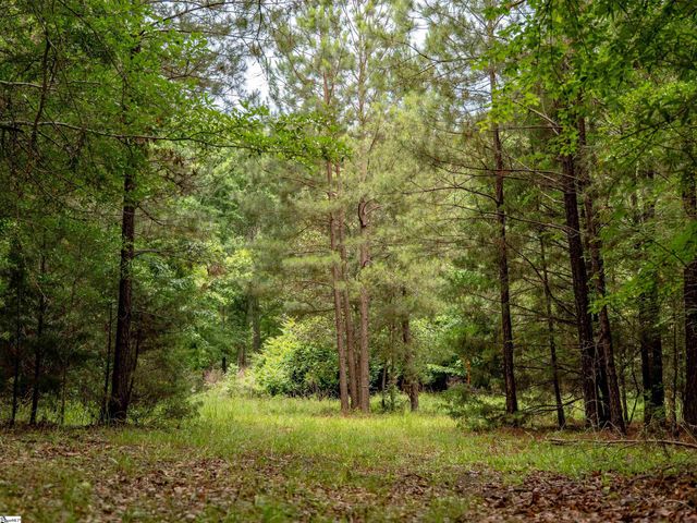 00 Terry Road Lot 7, Fountain Inn, SC 29644