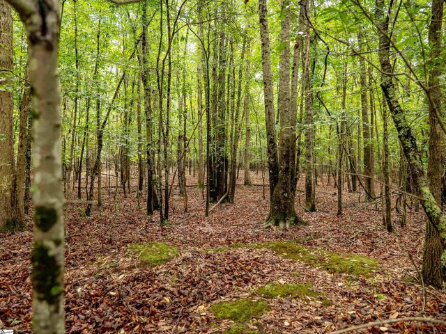 00 Terry Road Lot 7, Fountain Inn, SC 29644