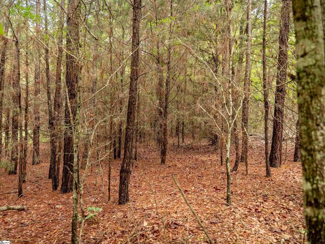00 Terry Road Lot 7, Fountain Inn, SC 29644