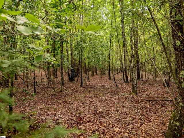 00 Terry Road Lot 7, Fountain Inn, SC 29644