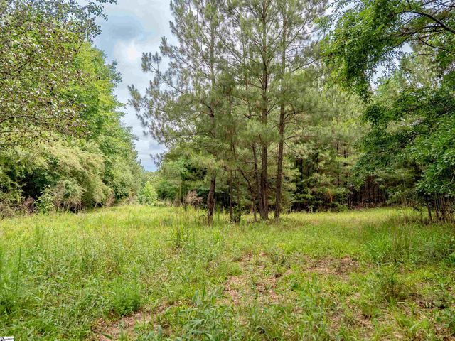 00 Terry Road Lot 7, Fountain Inn, SC 29644