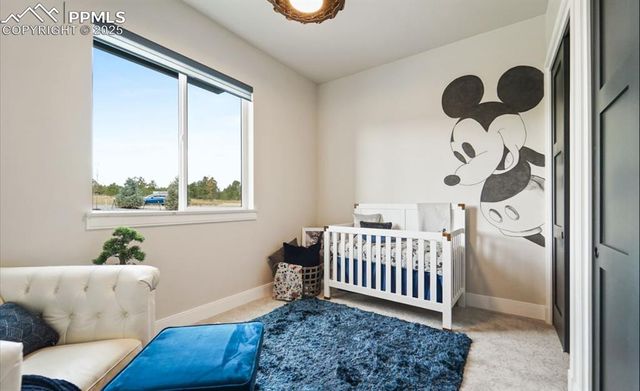 15271 Allen Ranch Road, Colorado Springs, CO 80908