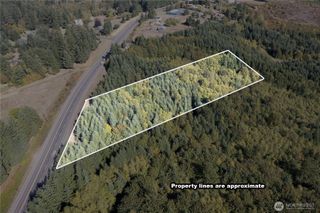 0 Lot 2 Spirit Lake Parcel WK3516012 Highway, Castle Rock, WA 98611