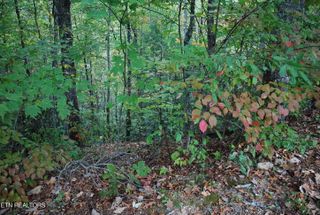 2017 Ridgecrest Loop Lane, Sevierville, TN 37876