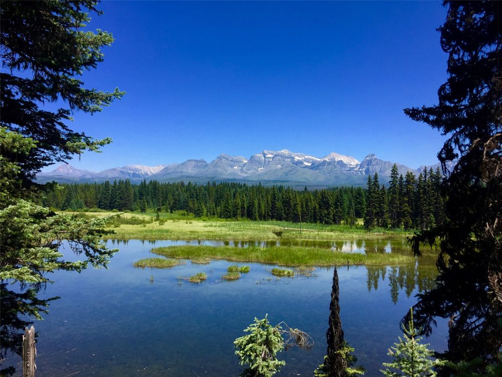 NHN North Fork Road, Polebridge, MT 59928 photo 10