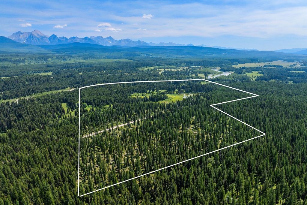 NHN North Fork Road, Polebridge, MT 59928 photo 11