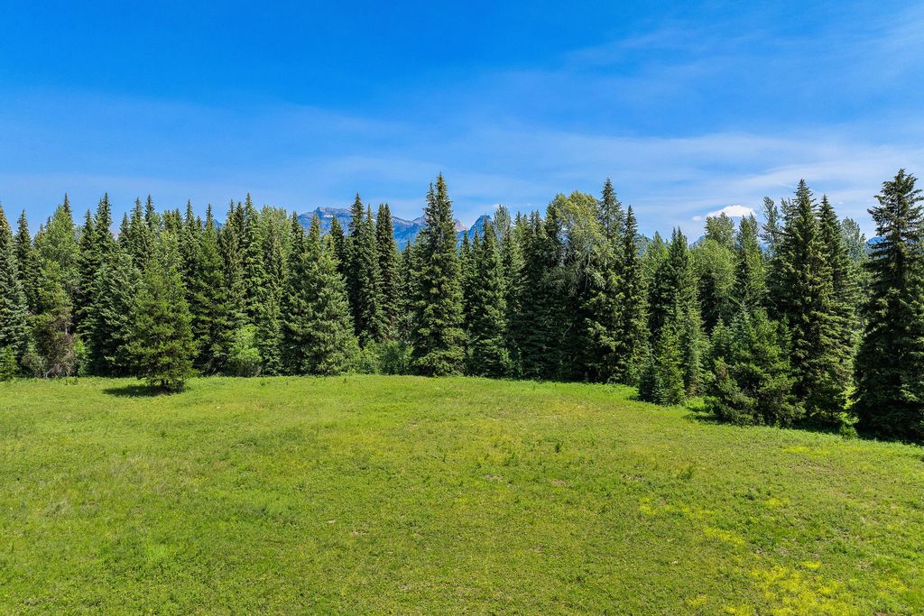 NHN North Fork Road, Polebridge, MT 59928 photo 13