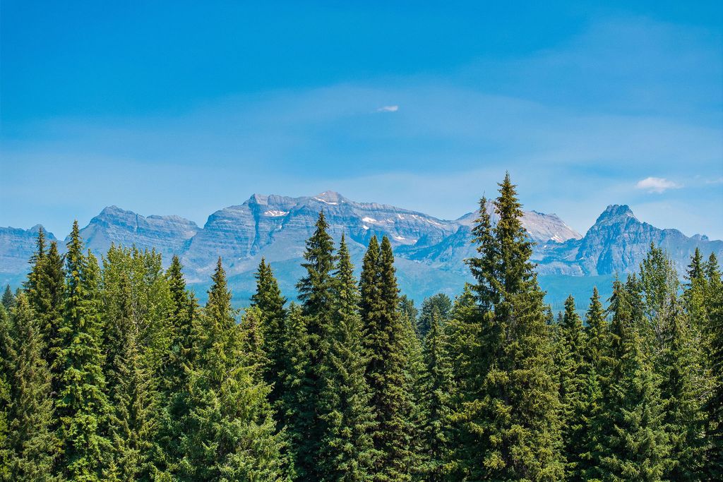 NHN North Fork Road, Polebridge, MT 59928 photo 14