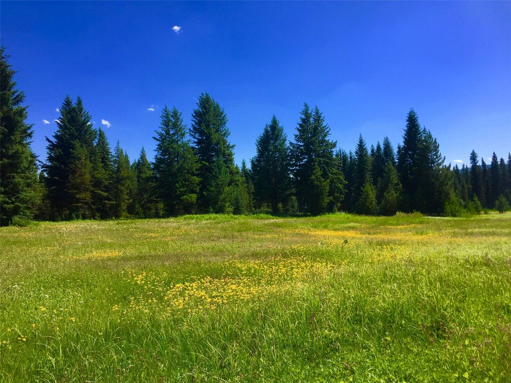NHN North Fork Road, Polebridge, MT 59928 photo 15