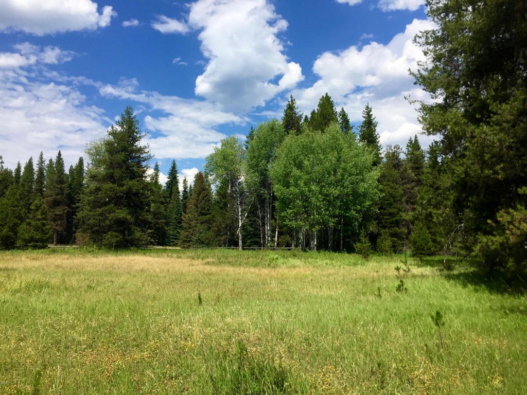 NHN North Fork Road, Polebridge, MT 59928 photo 16