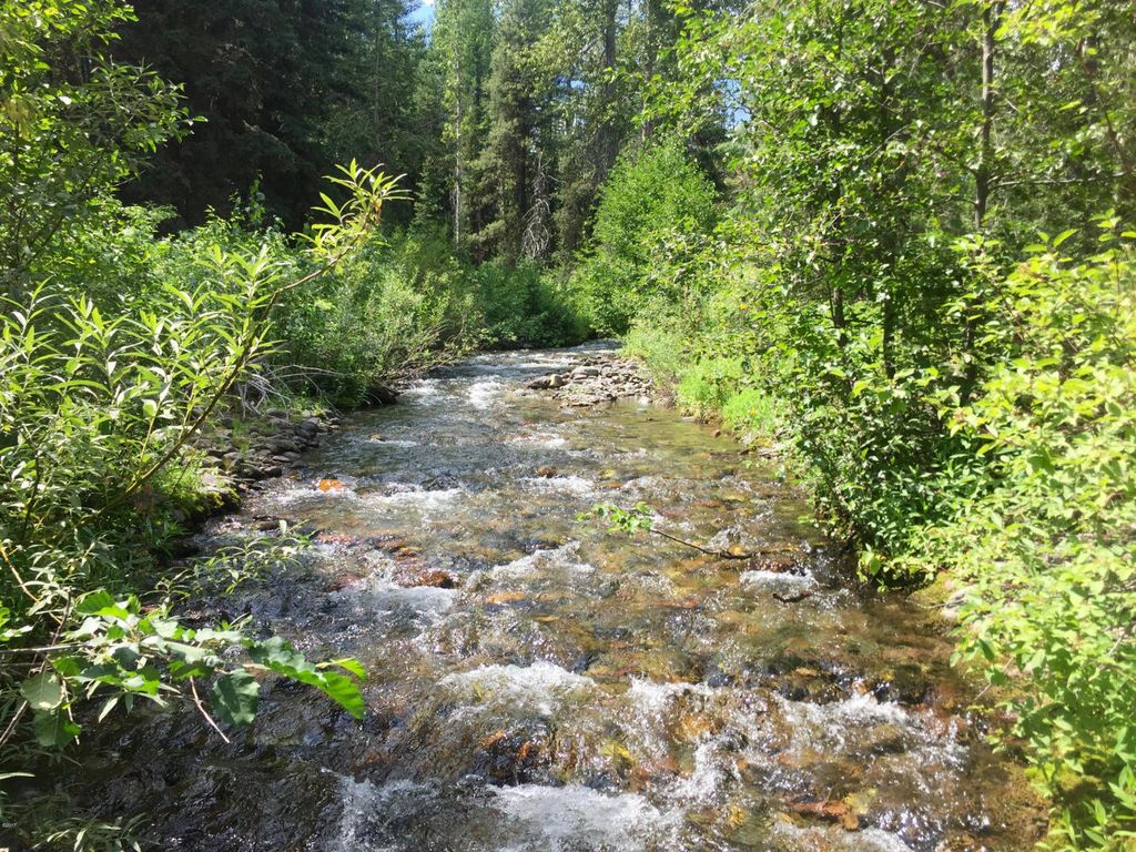 NHN North Fork Road, Polebridge, MT 59928 photo 18