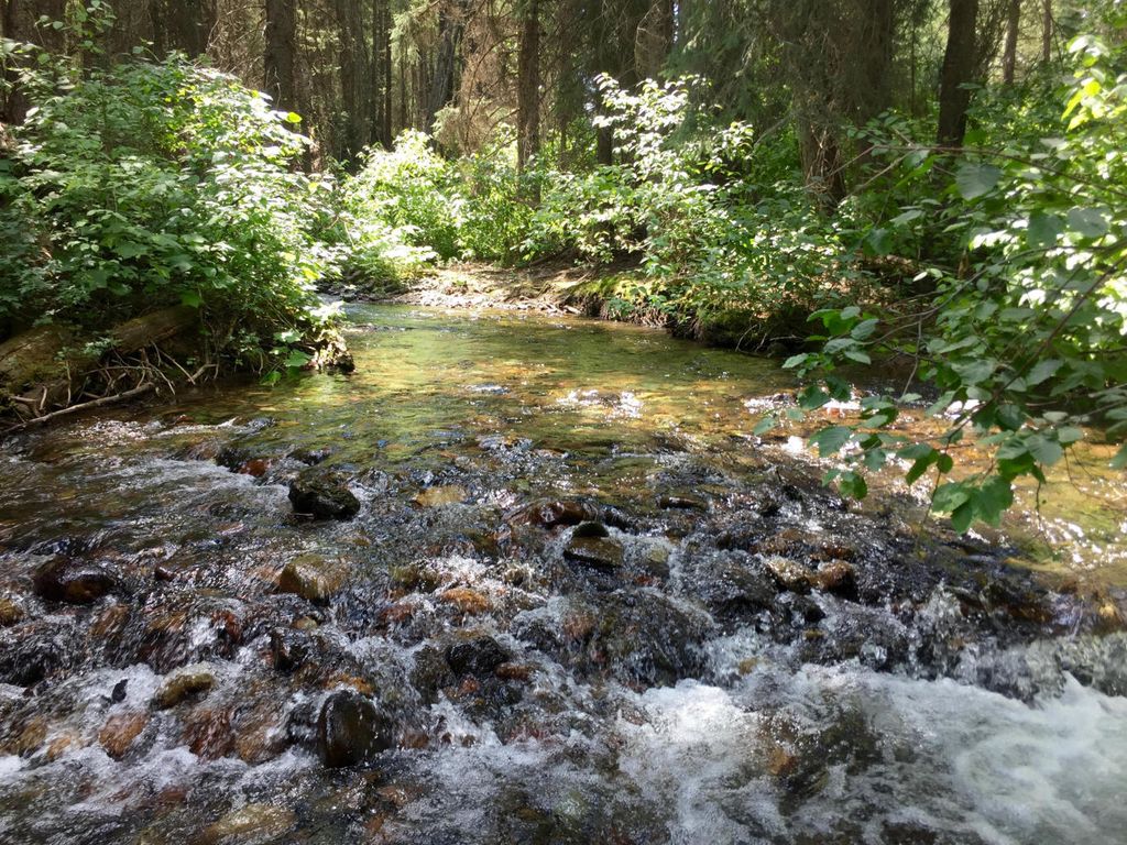 NHN North Fork Road, Polebridge, MT 59928 photo 19