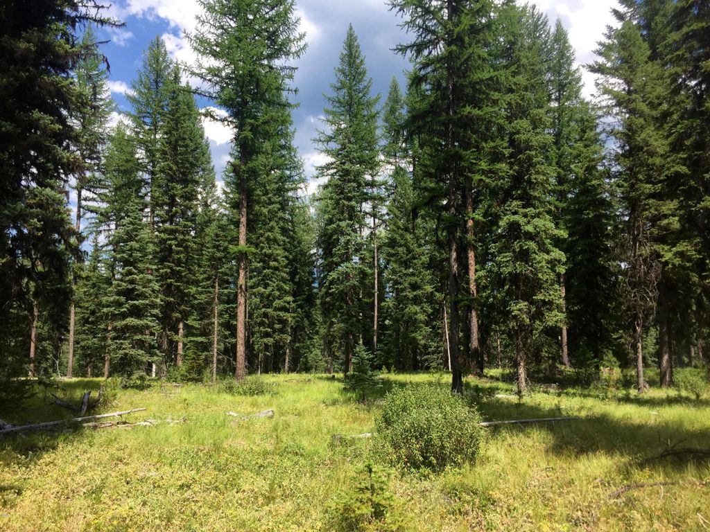 NHN North Fork Road, Polebridge, MT 59928 photo 21