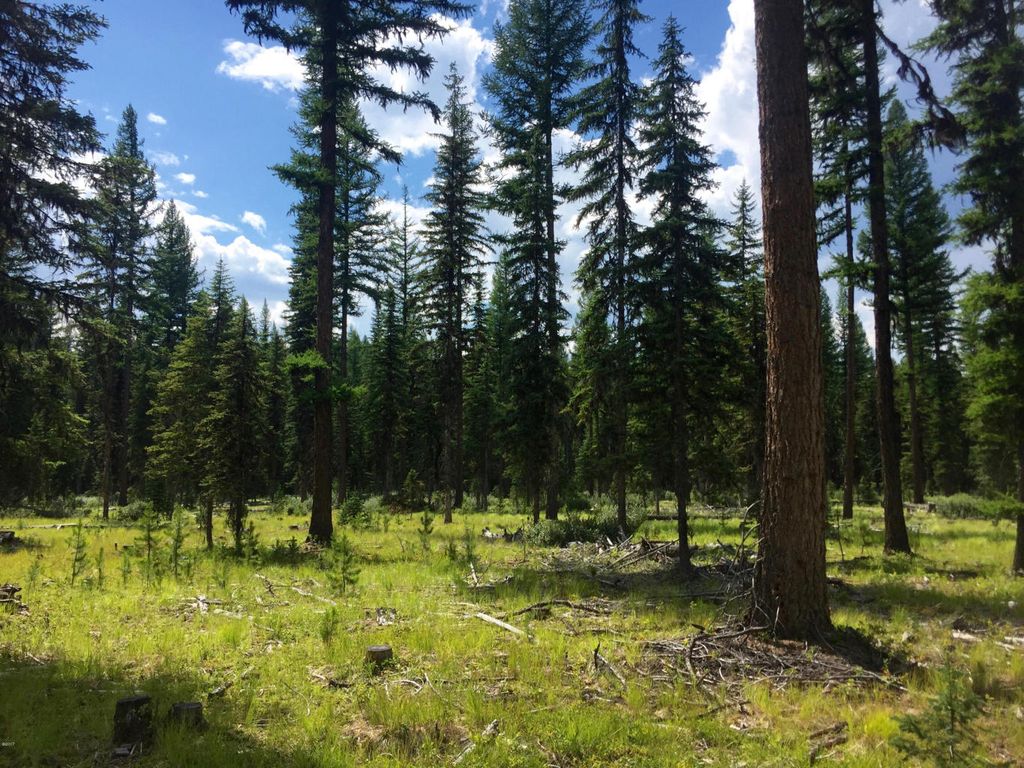 NHN North Fork Road, Polebridge, MT 59928 photo 22