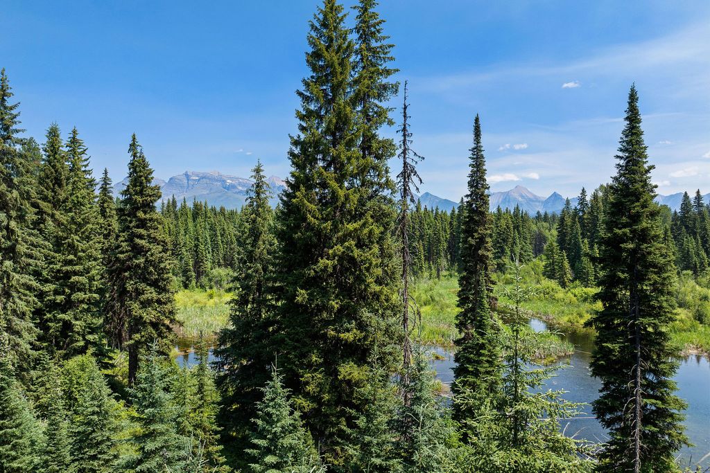 NHN North Fork Road, Polebridge, MT 59928 photo 25