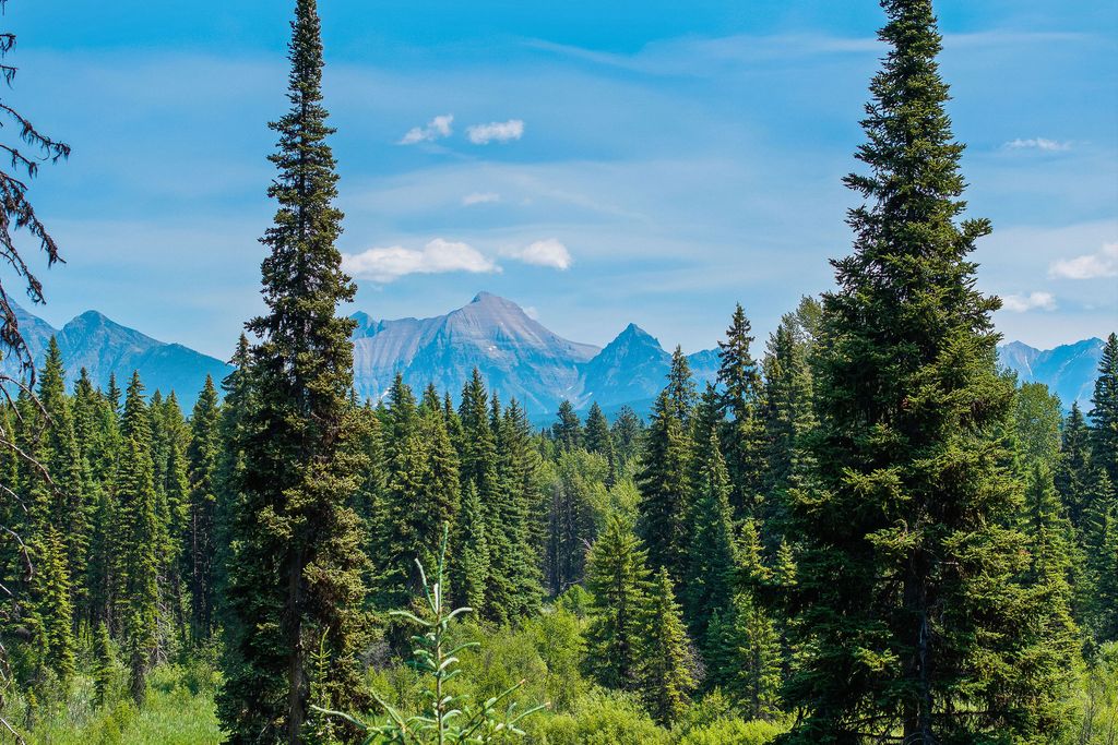 NHN North Fork Road, Polebridge, MT 59928 photo 26