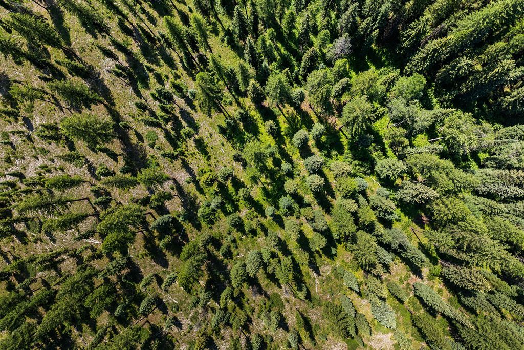 NHN North Fork Road, Polebridge, MT 59928 photo 27