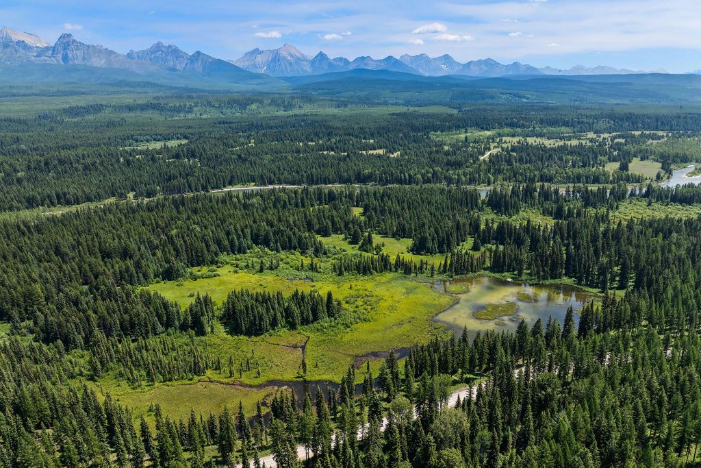 NHN North Fork Road, Polebridge, MT 59928 photo 28