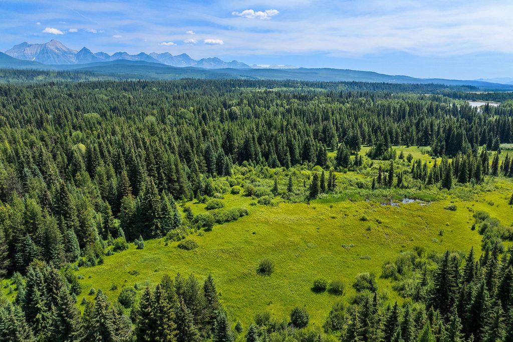 NHN North Fork Road, Polebridge, MT 59928 photo 29