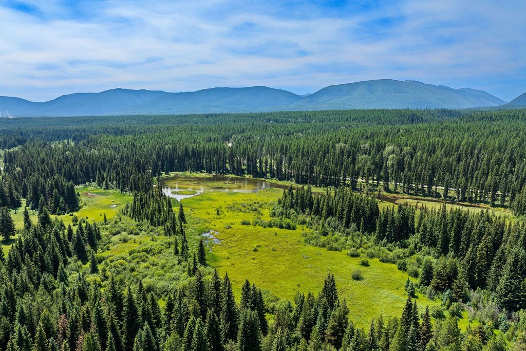 NHN North Fork Road, Polebridge, MT 59928 photo 30