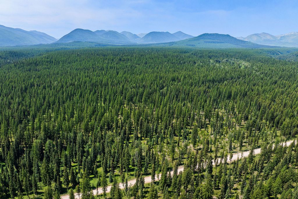 NHN North Fork Road, Polebridge, MT 59928 photo 31
