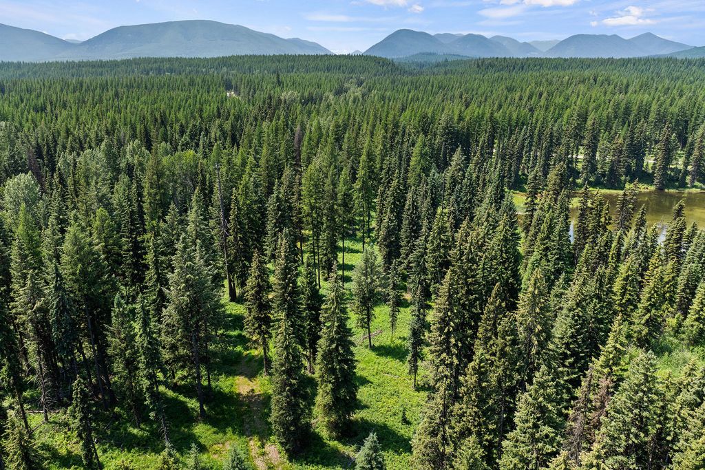 NHN North Fork Road, Polebridge, MT 59928 photo 32