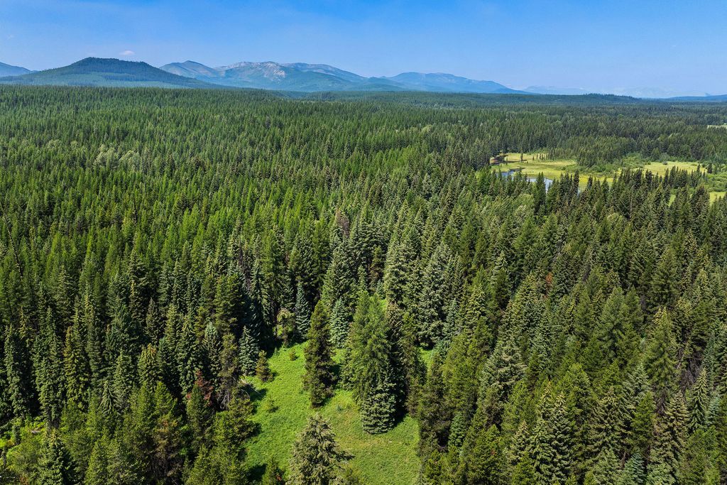 NHN North Fork Road, Polebridge, MT 59928 photo 33