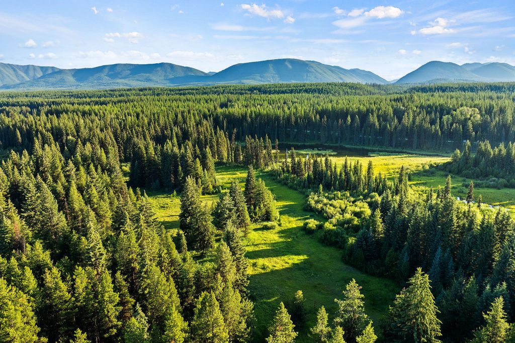 NHN North Fork Road, Polebridge, MT 59928 photo 34