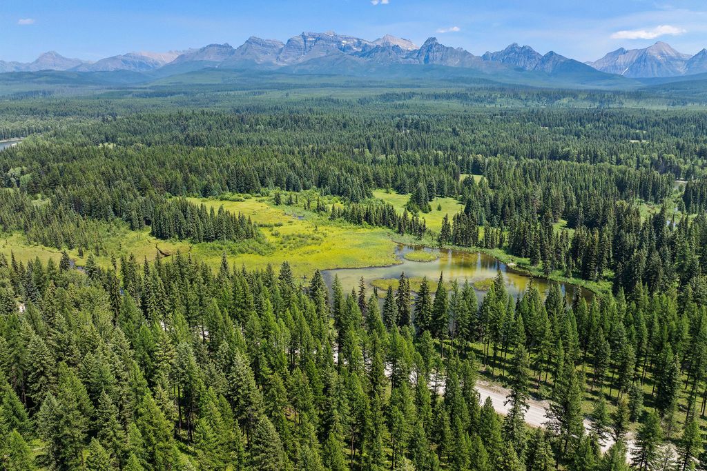 NHN North Fork Road, Polebridge, MT 59928 photo 38
