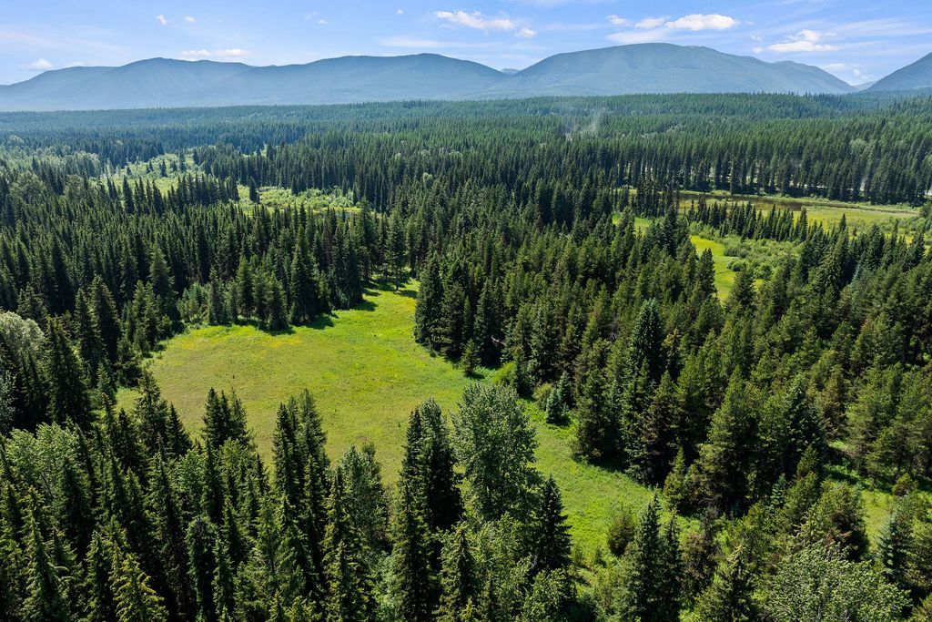 NHN North Fork Road, Polebridge, MT 59928 photo 4