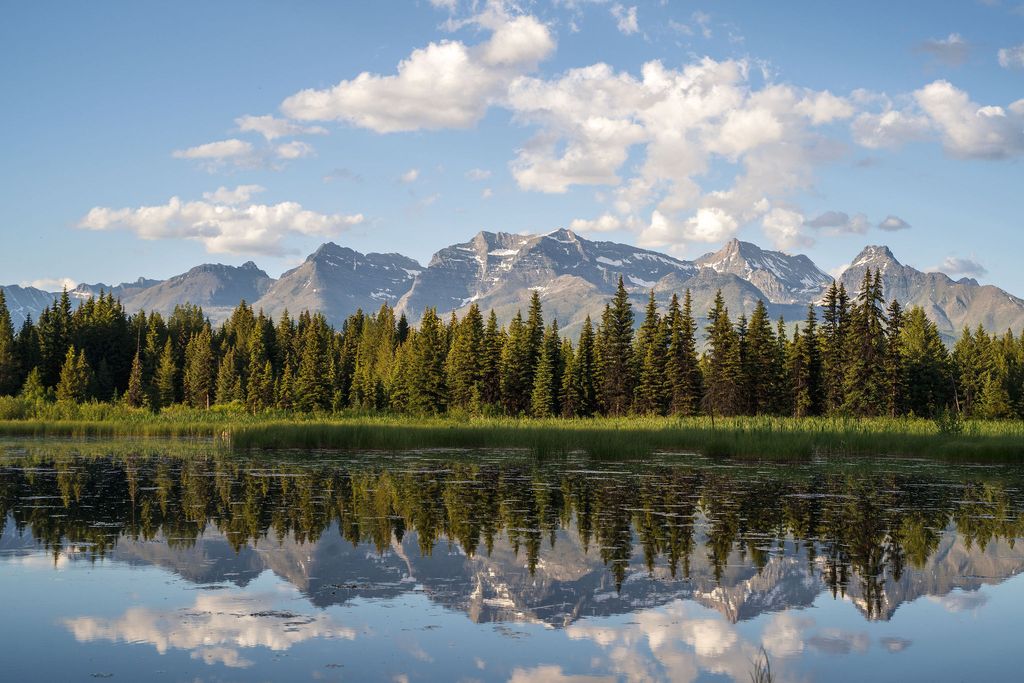 NHN North Fork Road, Polebridge, MT 59928 photo 8