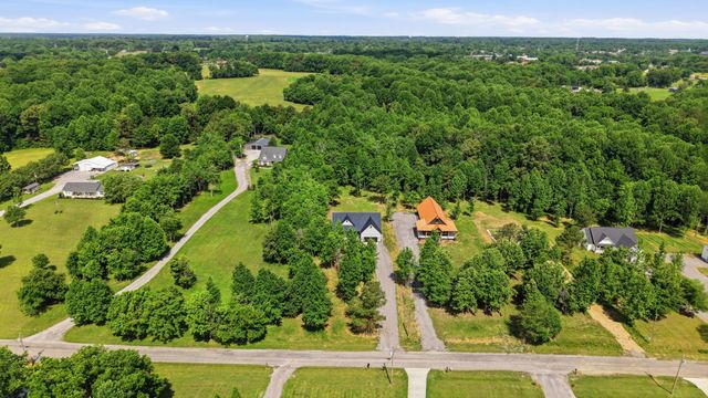 698 Dearman St, Smithville, TN 37166