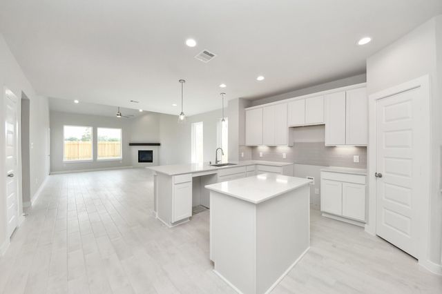 19002 Cape Capasso Drive, Hockley, TX 77447