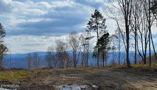 Bull Creek Lot K Rd, Huntsville, TN 37756