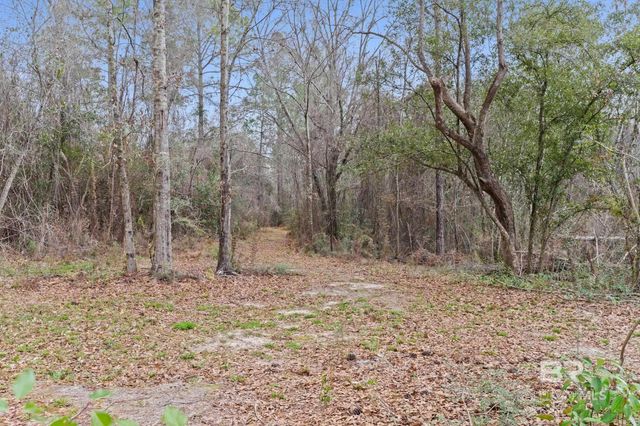 24928 County Road 71, Robertsdale, AL 36567
