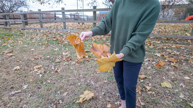 1145 Broadleaf Road, Mammoth Spring, AR 72554