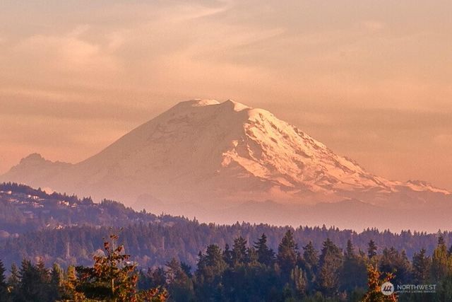 9642 Hilltop Road, Bellevue, WA 98004