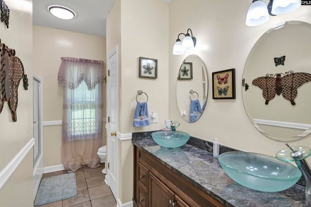 366 Gallery Cliff Drive, Chapin, SC 29036