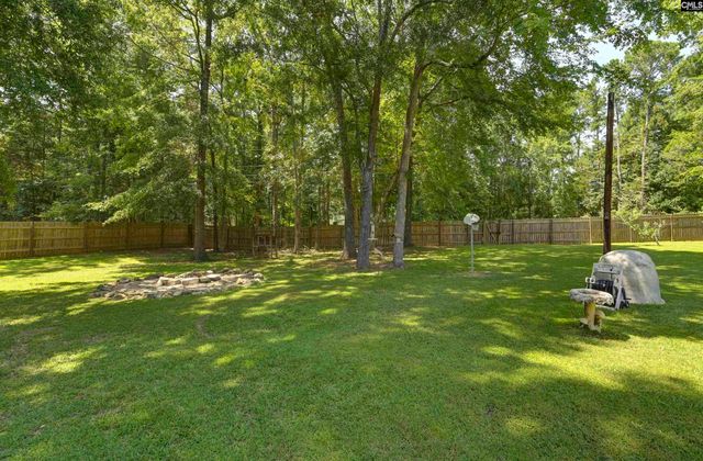 366 Gallery Cliff Drive, Chapin, SC 29036