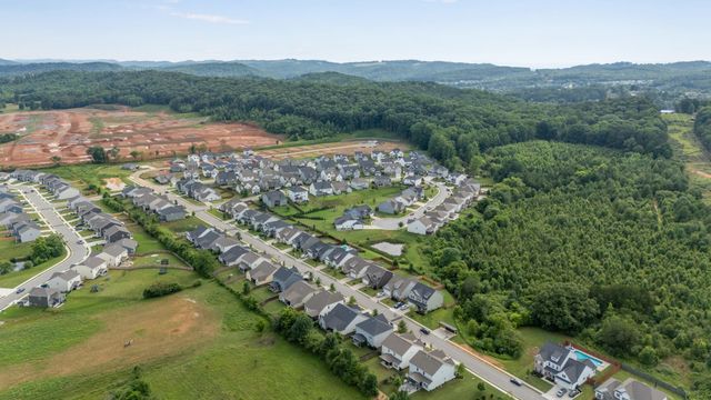 3359 Prairie Range Lane, Apison, TN 37302