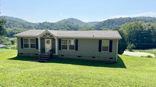 9400 Pedigo Rd, Powell, TN 37849