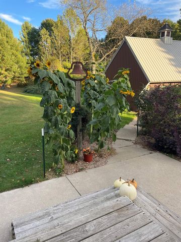 4009 Grace Road, Gilmore Twp, MI 49635