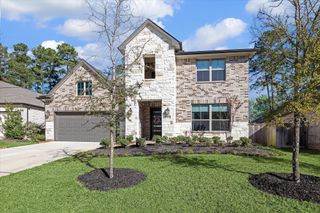 164 Gray Pine Grove Way, Willis, TX 77318