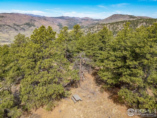 9316 Tawny Lynx Road, Loveland, CO 80538