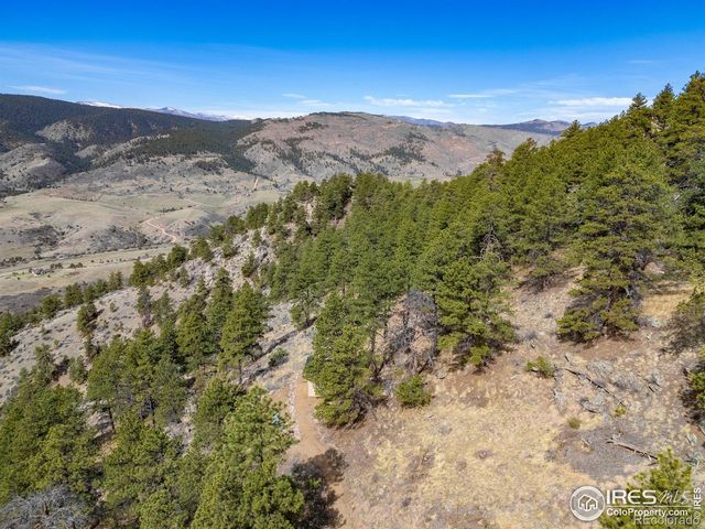 9316 Tawny Lynx Road, Loveland, CO 80538