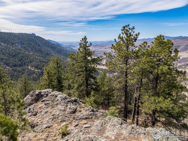 9316 Tawny Lynx Road, Loveland, CO 80538