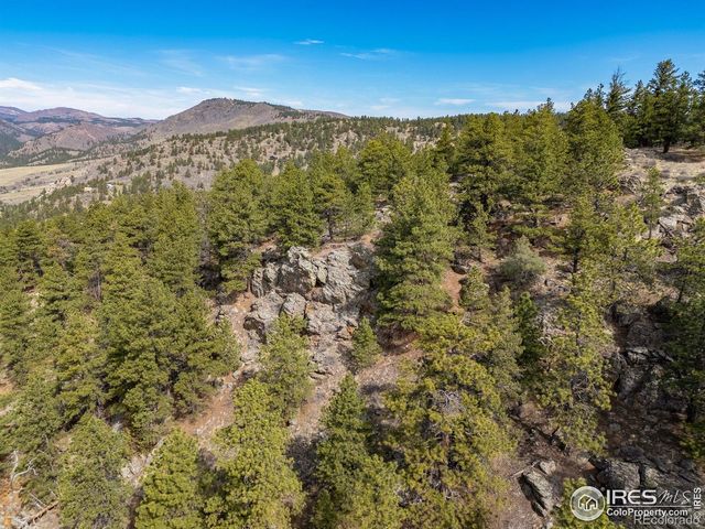 9316 Tawny Lynx Road, Loveland, CO 80538