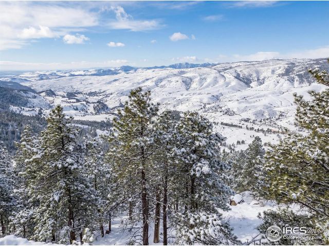 9316 Tawny Lynx Road, Loveland, CO 80538