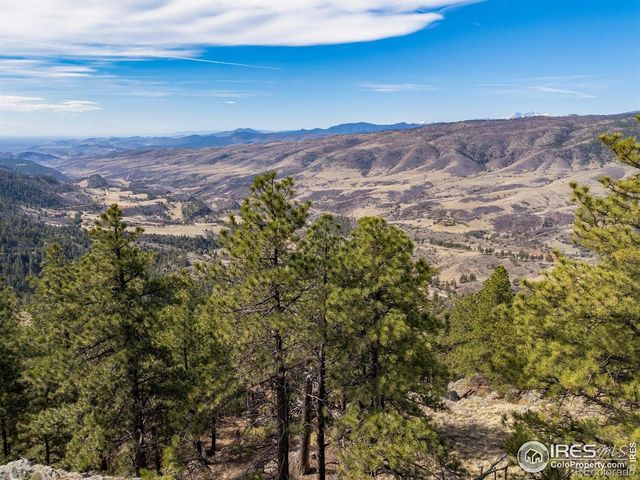 9316 Tawny Lynx Road, Loveland, CO 80538