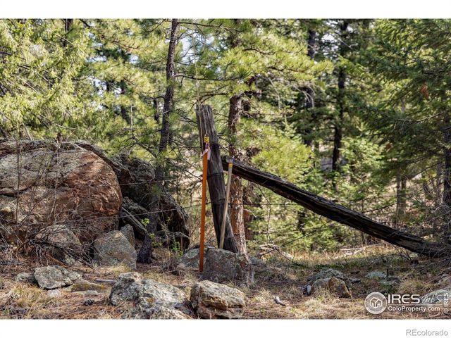 9316 Tawny Lynx Road, Loveland, CO 80538